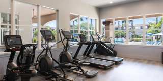 Cortland Harbour Cove Gallery 25