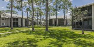 Enclave at Lake Ellenor Gallery 39