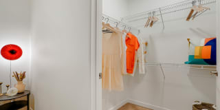 Quin + Nita Gallery 16