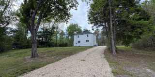 3 WILHEMINA Gallery 1