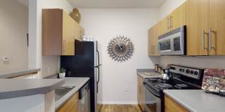 Acclaim Gallery 4