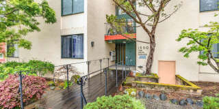 COMING SOON--This large 3 bedroom 2 bath apartment is in the heart of Gourmet Ghetto Gallery 2