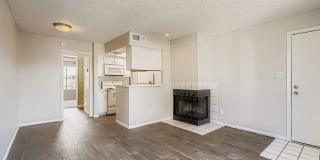 Rise on Cactus Gallery 70