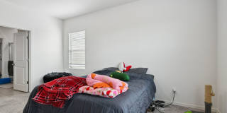 Charming 3BR House in Tolleson Gallery 16