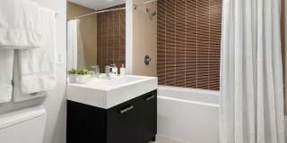 Roosevelt Collection Lofts Gallery 19