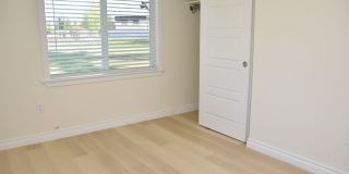 Beautiful 4-Bedroom Lakewood Home with Spacious Yard Near JBLM Gallery 8