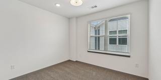 The Sophia Gallery 62