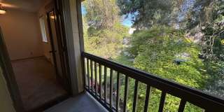 Brighton North Gallery 6