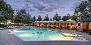 Windsor at Mariners Gallery 41