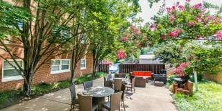 Park Georgetown Gallery 16