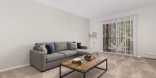 Pikes Place on San Miguel Gallery 1