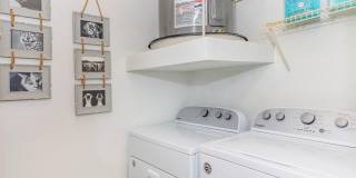 Woodland Point Gallery 30