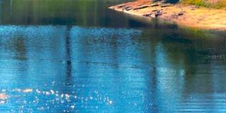 2661 SABAL SPRINGS CIRCLE Gallery 2