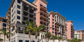 Palmetto Promenade Gallery 40