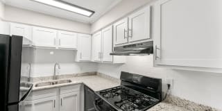 445 Cleveland Gallery 7