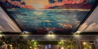 Tortoise One Gallery 42