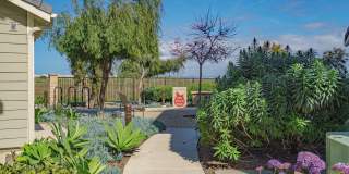 512 Heron Lane - 1 Gallery 11