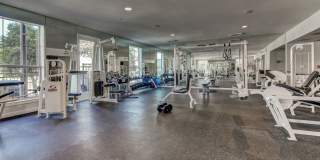 The Saulet Gallery 27