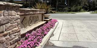 24111 Del Monte Dr. Gallery 21
