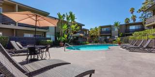 Elán Avante Apartment Homes Gallery 17