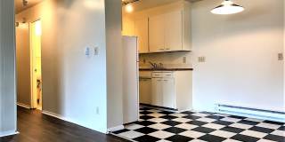 Angeline Gallery 1
