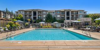 Vue Issaquah Gallery 8