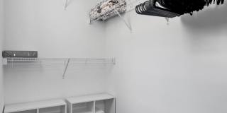 15848 Italian Cypress Way Gallery 22