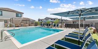 Cadia Queen Creek Gallery 6