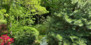 16 Crooked Mile Road Gallery 22