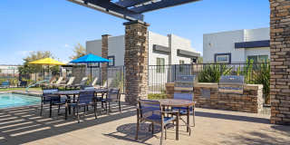 Olive Queen Creek Gallery 26