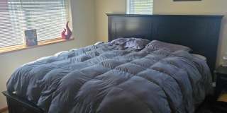 108 Owl Path Gallery 9