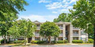 Lake St. James Gallery 15