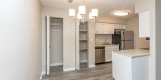 Canter Chase Gallery 25