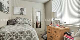 843 E 620 N Gallery 12