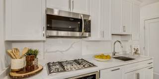 Columbia Heights 2BR 2BA w/Parking & Private Patio Garden Gallery 10