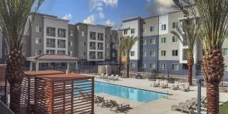 Juniper Square - 55+ Active Adult Apartment Homes Gallery 10