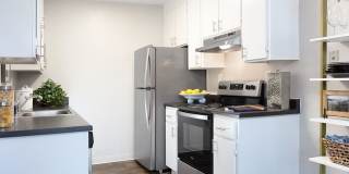 Civic Square Gallery 15