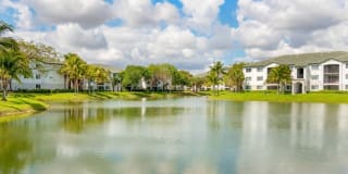 Palm Trace Landings Gallery 29