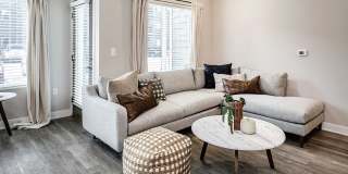 The 8801 Gallery 5