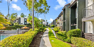 Madera Ridge Apartments Gallery 58