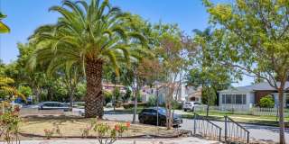 Corner lot home on a classic tree lined Beverly Hills street Gallery 28