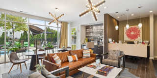 Trotters Park Gallery 7