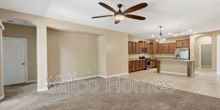 2717 E Ficus Way Gallery 15