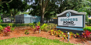 Cooper's Pond Gallery 27