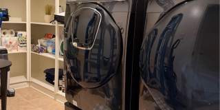 29657 Starring Gallery 24