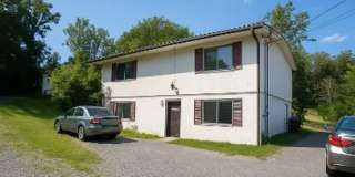 141 Bradley Street - 1 Gallery 9