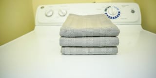 Hampton Center Gallery 24