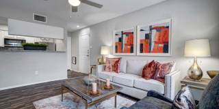 Foundations at Edgewater Gallery 6