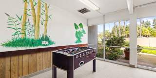 3054 Rue Dorleans Gallery 35