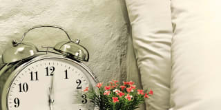 62 on the Park Gallery 14